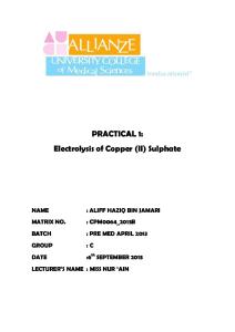 LR 1 Electrolysis of copper sulphate.docx