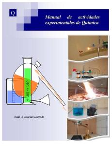 Manual de Actividades Experimentales de Química MELLIZO