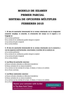 Modelo de Primer Parcial Multiple Choice Nro 4 Neurofisiologia Catedra Ferreres