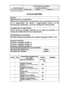 Modelo- Plan de Auditoria.doc