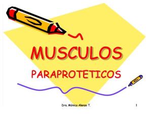 MUSCULOS_PARAPROTETICOS