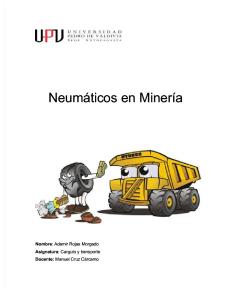 Neumáticos en Minería: Nombre: Ademir Rojas Morgado Asignatura: Carguío y transporte Docente: Manuel Cruz Cárcamo