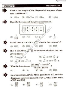 NSTSE 2013 Question Paper for Class 8