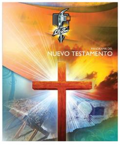 Panorama Nuevo Testamento Serie Fe y Acción