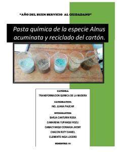 Pasta química del Alnus acuminata y reciclado de cartón