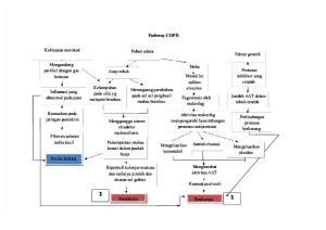 Pathway COPD