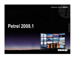 Petrel2008presentation[1]