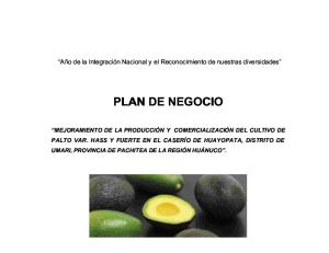 PLAN DE NEGOCIO HUAYOPATA-.docx