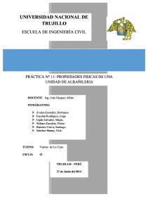 Practica n 10- PROPIEDADES FISICAS DE UNA UNIDAD DE ALBAÑILERIA