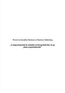 Proiect La Disciplina Business to Business Marketing