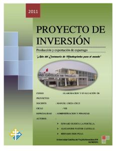 Proyecto de Inversion