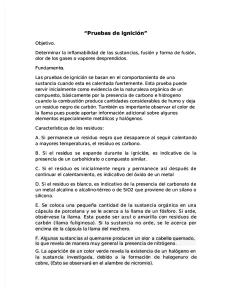 Pruebas de Ignicion