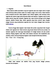 Rantai Makanan.pdf