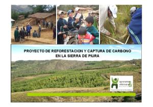 Reforestacion Captura de Carbono Piura