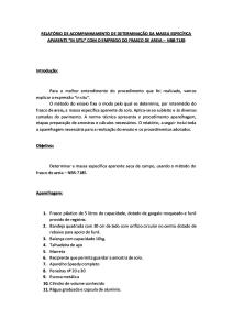 RELATÓRIO MEC SOLOS I