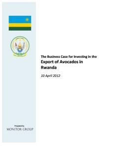 Rwanda_Avocado Packaging and Export Investment Case Report