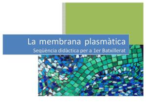 SD Batxillerat- La Membrana Cel·lular