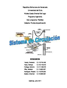 sistema de circulacion perforacion.pdf