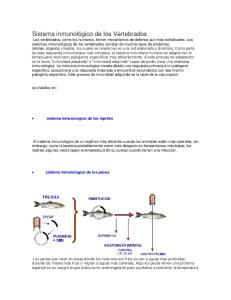 Sistema inmunológico de los Vertebrados
