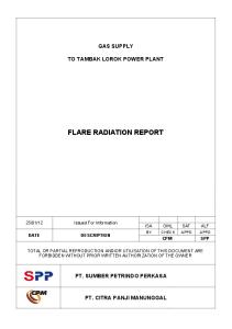 SPP Flare Radiation Report_final