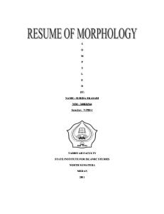 Summary of Morphology