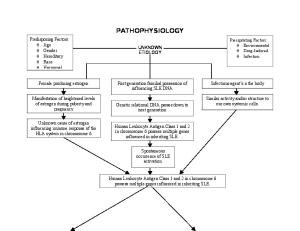 Systemic Lupus Erythematosus Pathophysiology