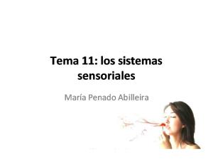 Tema 11. Sistemas sensoriales.pdf