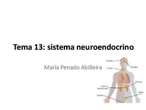 Tema 13. Sistema neuroendocrino.pdf