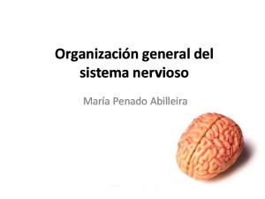 Tema 6. Organización general del sistema nervioso.pdf