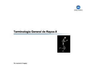 Terminologia General de Rayos-X