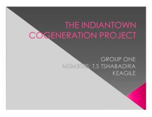 THE INDIANTOWN COGENERATION PROJECT