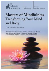TTC.masters of Mindfulness.transforming Your Mind.misc.x22.2018.n9048