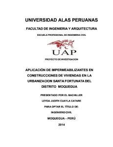 Universidad Alas Peruanas Tesis
