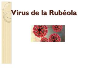 Virus de La Rubéola