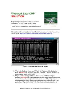 Wireshark Icmp Solution v6.0
